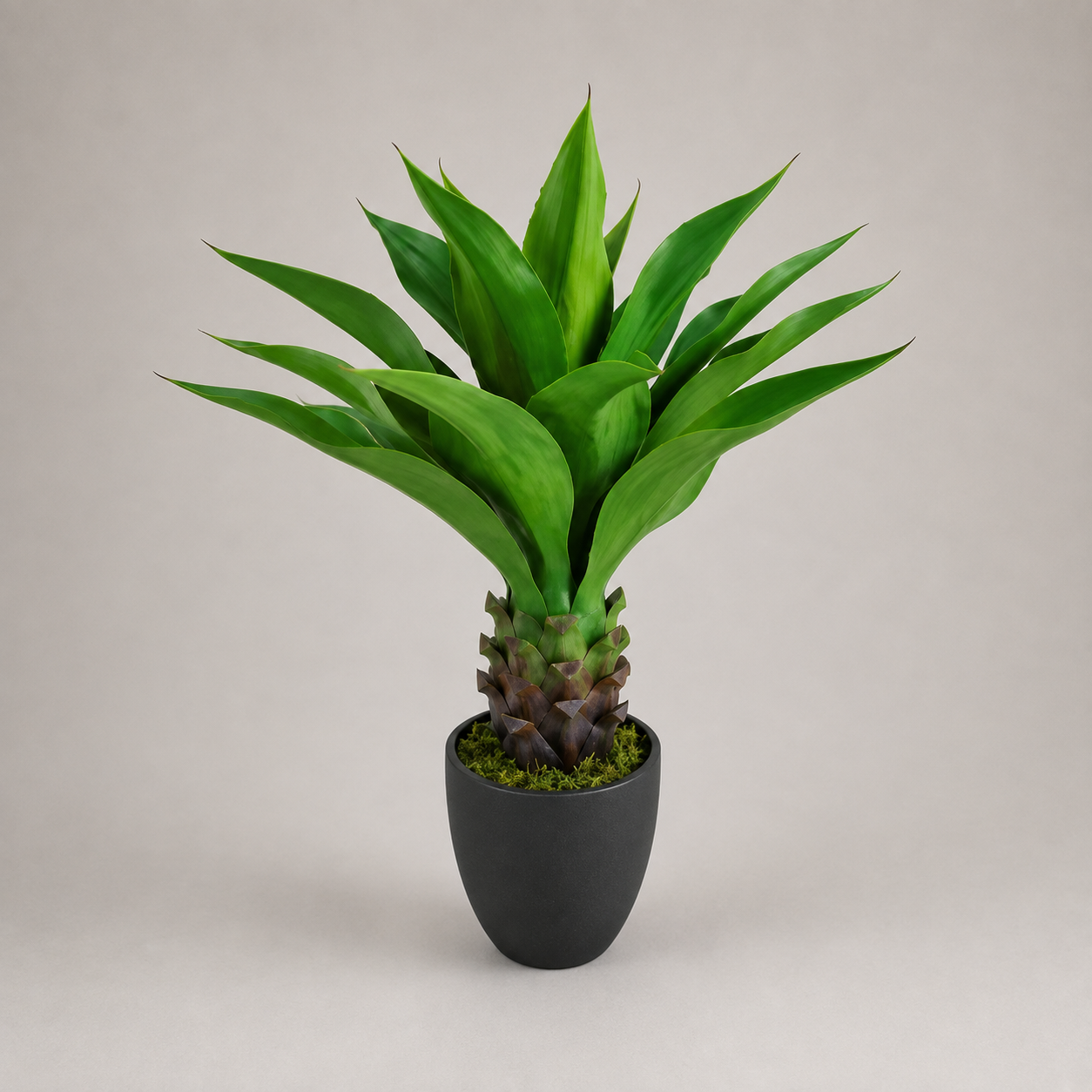 PLANTA ARTIFICIAL AGAVE ATTENUATA