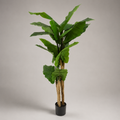 PLANTA ARTIFICIAL COLOCASIA ESCULENTA