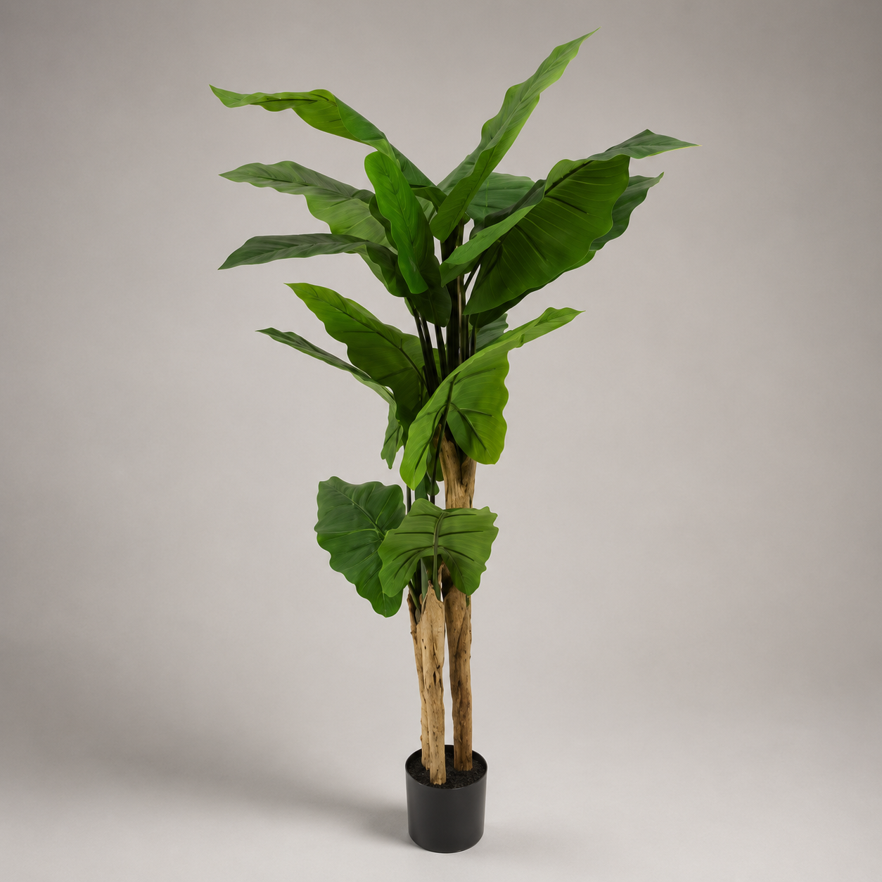 PLANTA ARTIFICIAL COLOCASIA ESCULENTA