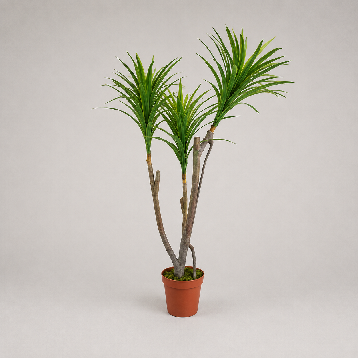 PLANTA ARTIFICIAL "YUCCA" 185CM