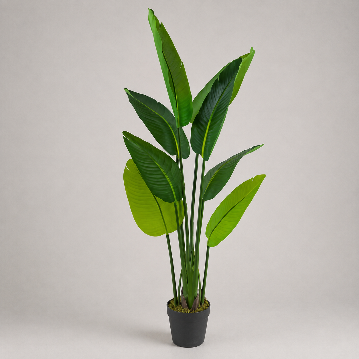 PLANTA ARTIFICIAL STRELITZIA REGINAE