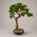 PLANTA ARTIFICIAL BONSAI PINE TREE