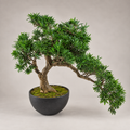 Planta Artificial Bonsai Pine Tree