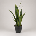 PLANTA ARTIFICIAL TIGRIDIA