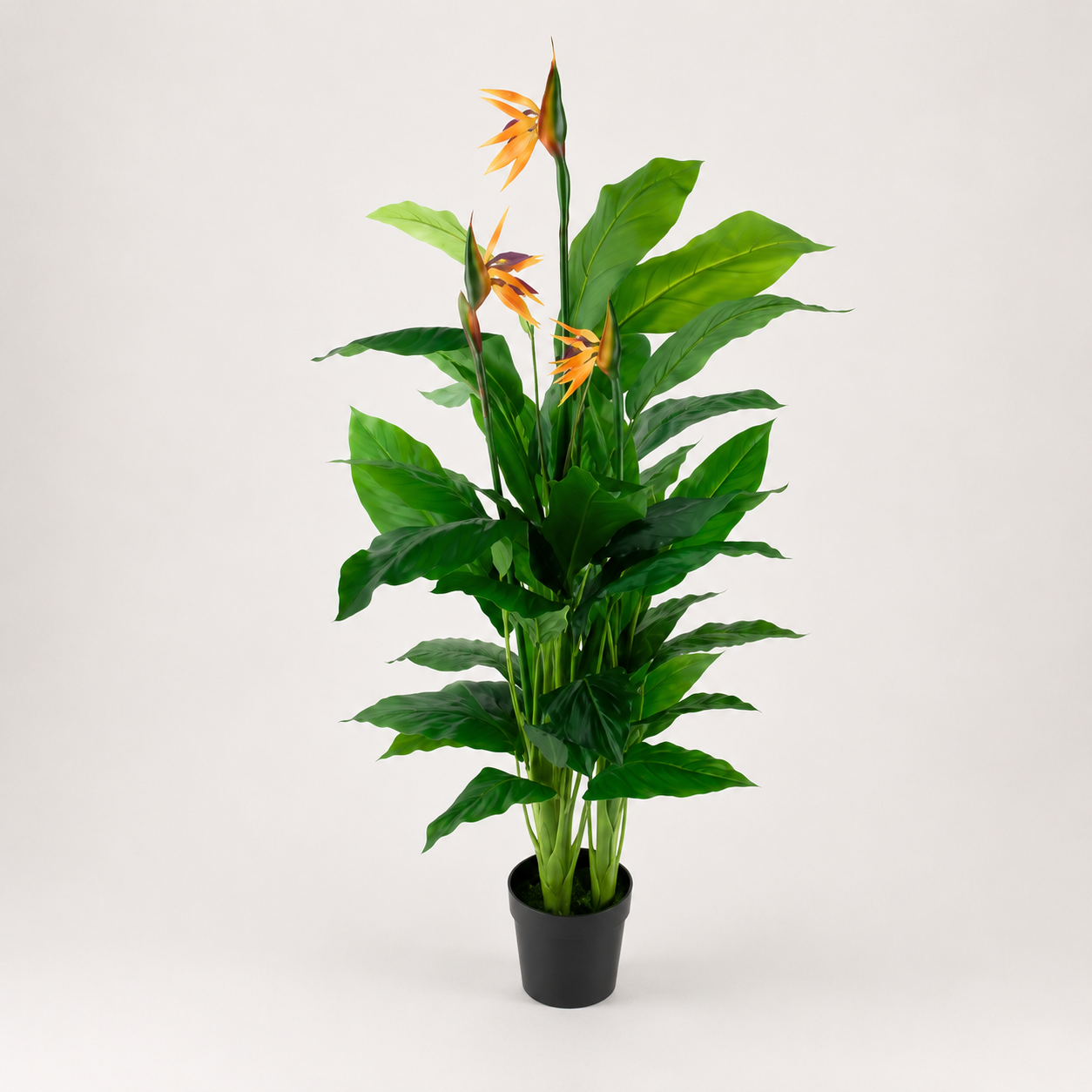 PLANTA ARTIFICIAL BIRD OF PARADISE