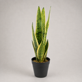 PLANTA ARTIFICIAL SNAKE PLANT