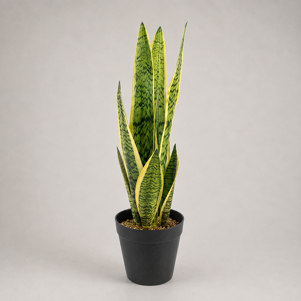 PLANTA ARTIFICIAL SNAKE PLANT