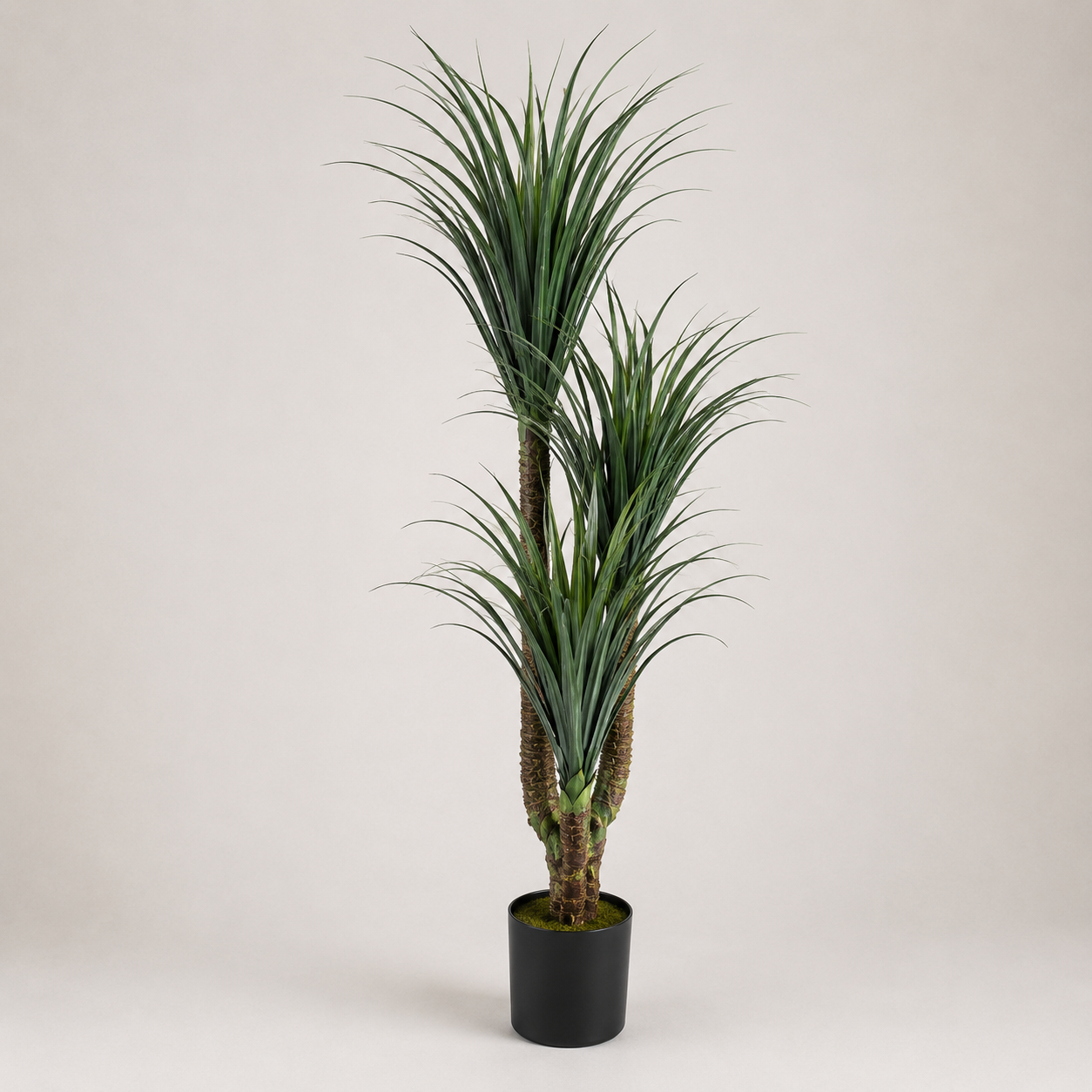 PLANTA ARTIFICIAL DRACAENA