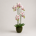 PLANTA ARTIFICIAL ORQUIDEA