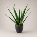 PLANTA ARTIFICIAL ALOE POT