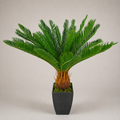 PLANTA ARTIFICIAL CYCAS