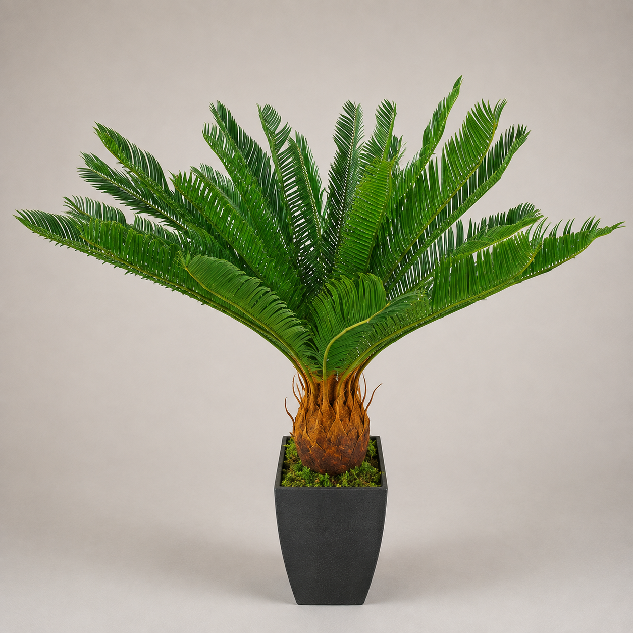 PLANTA ARTIFICIAL CYCAS