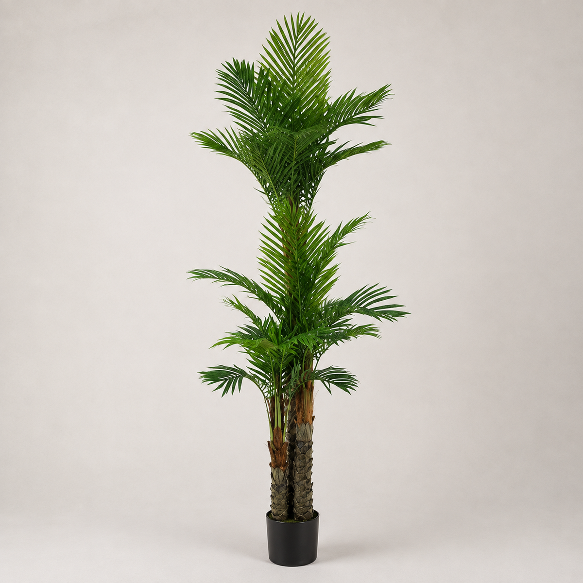 PLANTA ARTIFICIAL PALMEIRA