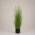 PLANTA ARTIFICIAL SEA URCHIN GRASS