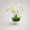 PLANTA ARTIFICIAL ORQUIDEA