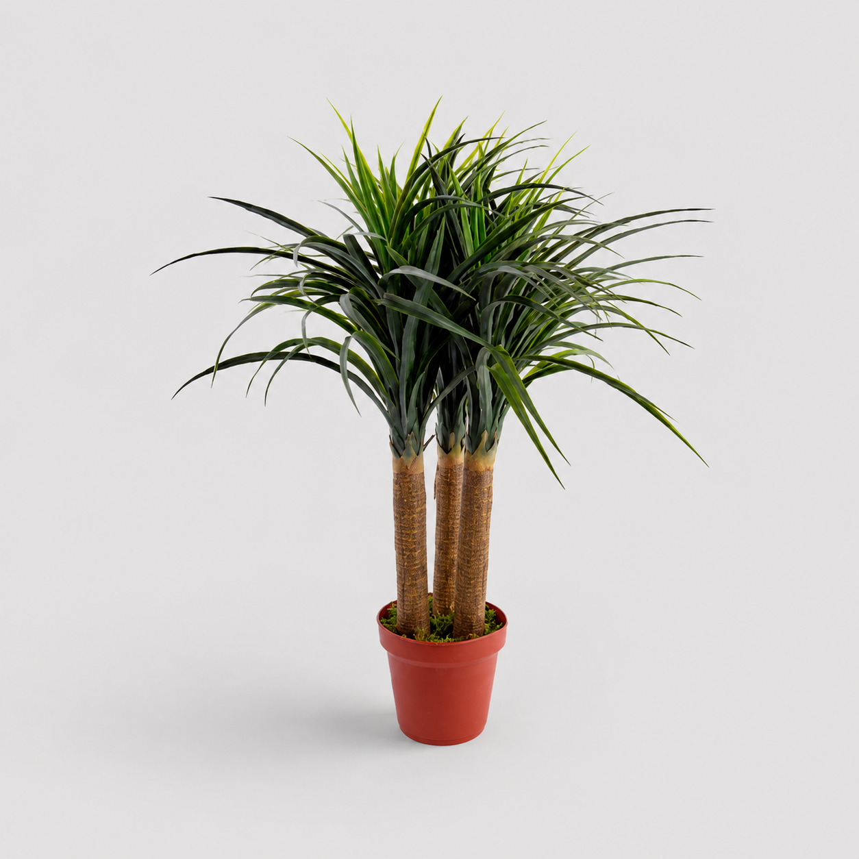 Planta Artificial "Yuccas" 70cm