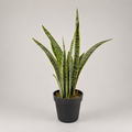 PLANTA ARTIFICIAL TIGRIDIA