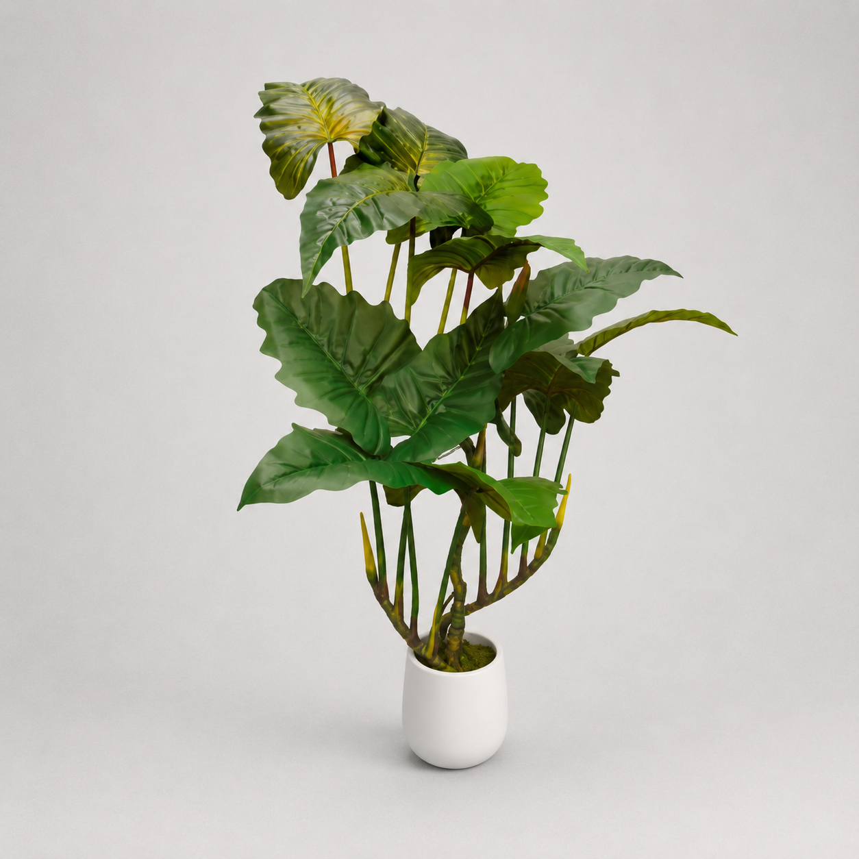 Planta Artificial "Colocasia Esculenta" 190cm