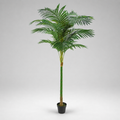 PLANTA ARTIFICIAL PALMEIRA