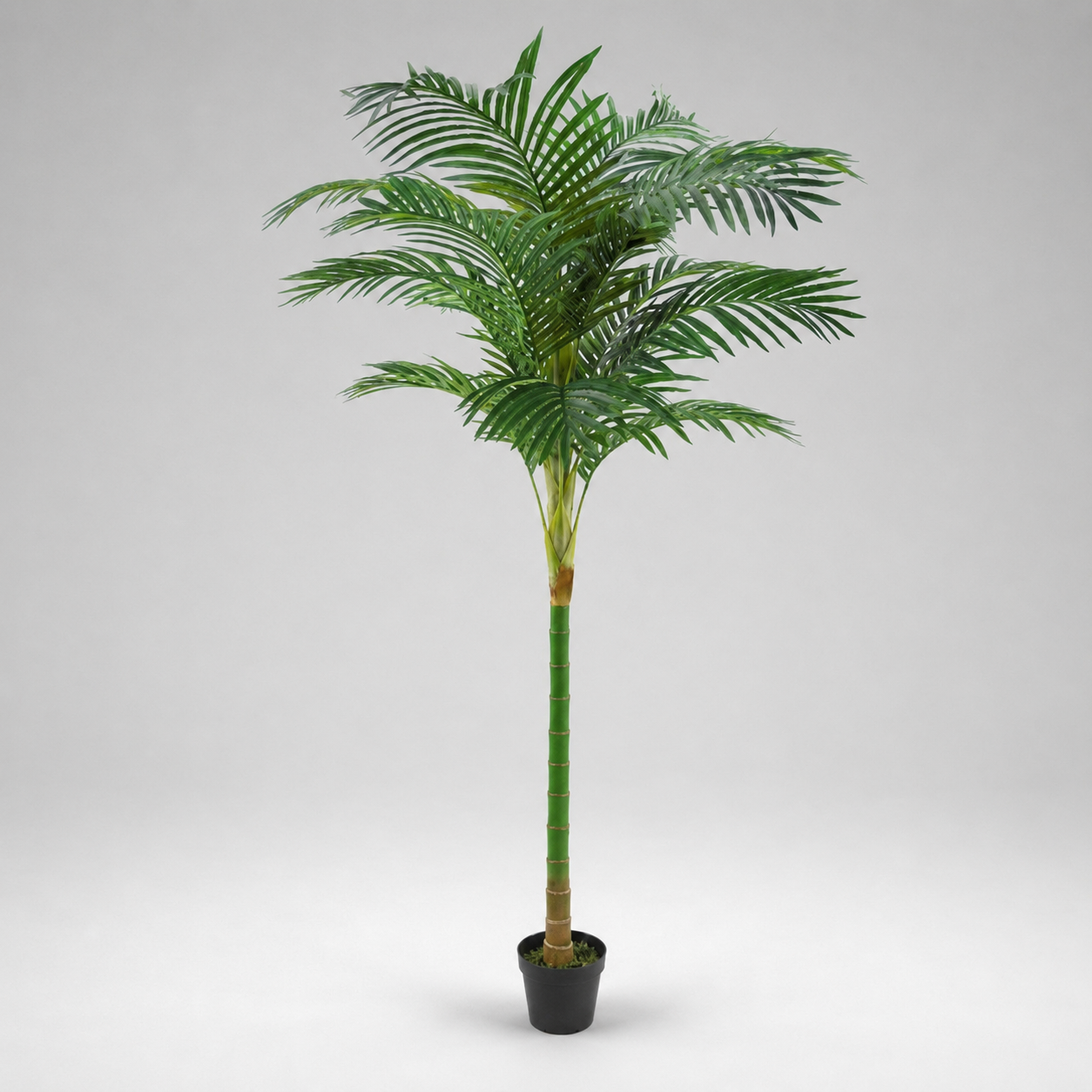 PLANTA ARTIFICIAL PALMEIRA