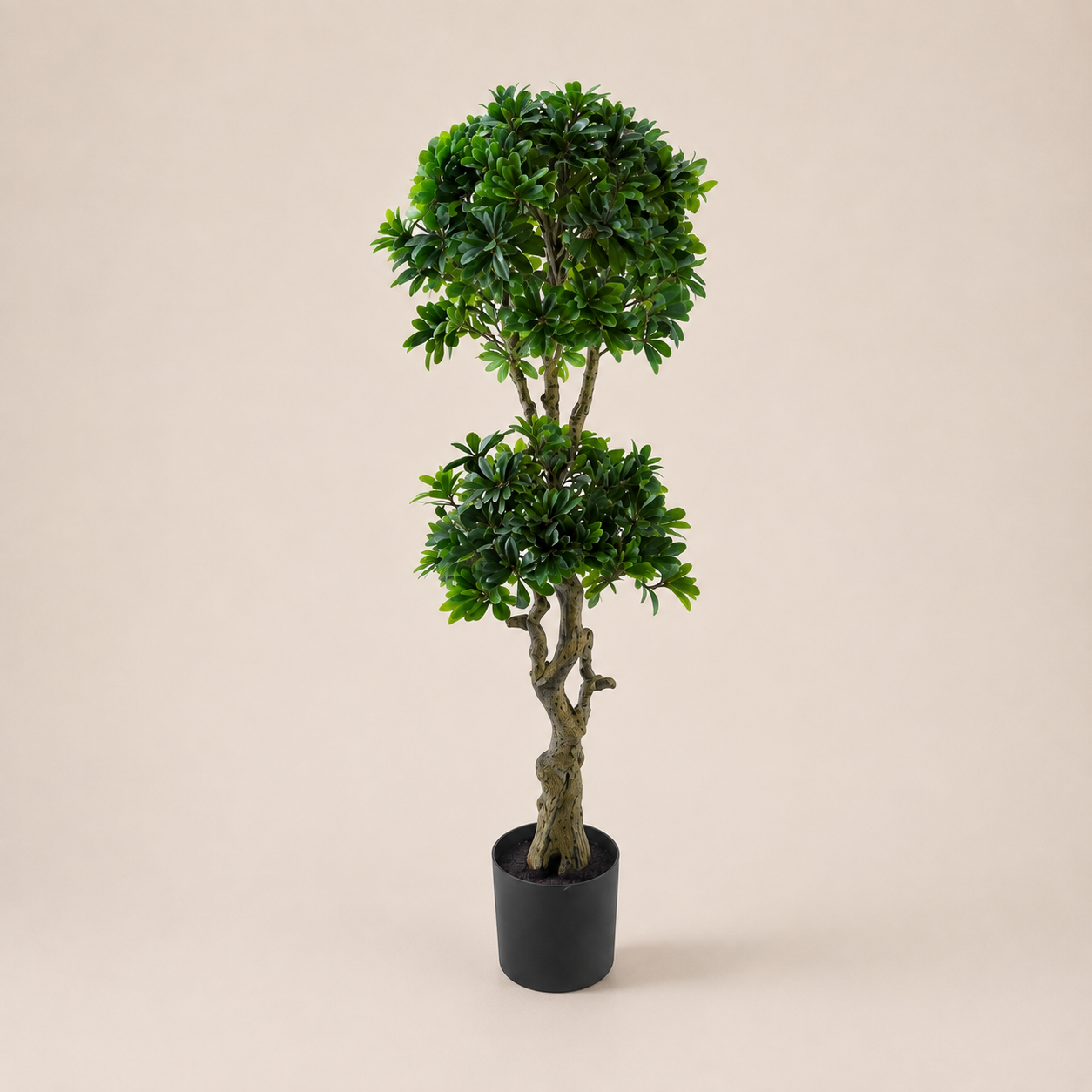 PLANTA ARTIFICIAL PITTISPORUM BONSAI
