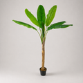 PLANTA ARTIFICIAL BANANA