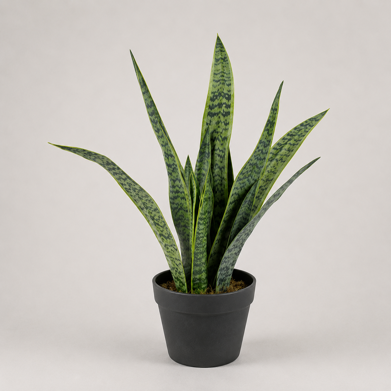 PLANTA ARTIFICIAL TIGRIDIA