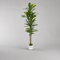 Planta Artificial "Dracaena" 170cm