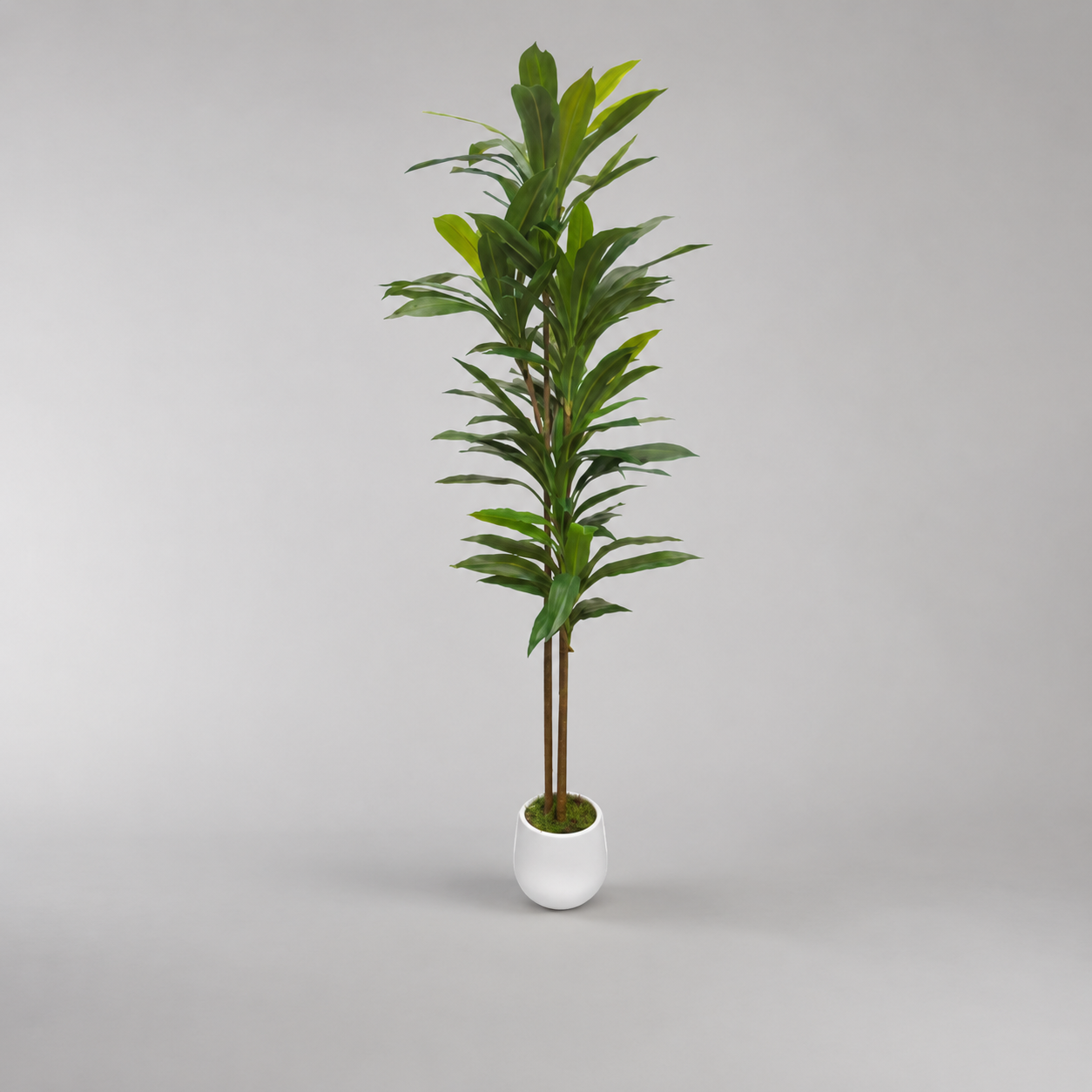 Planta Artificial "Dracaena" 170cm