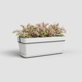Kit Caixa de Plantas Capri para Varanda