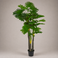 PLANTA ARTIFICIAL PHILODENDRON