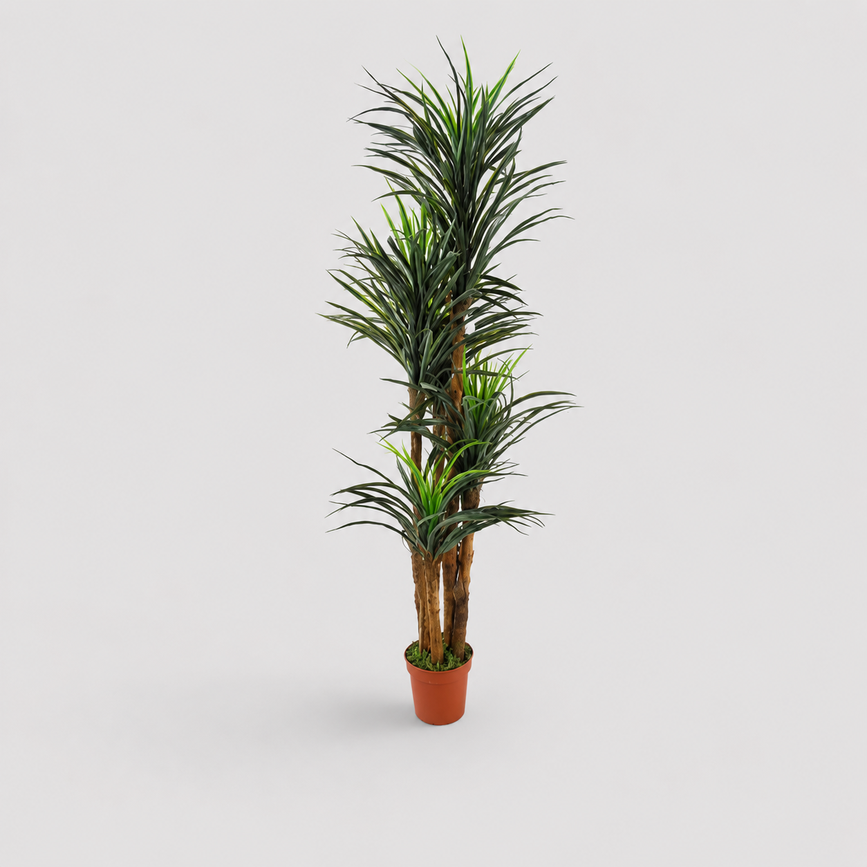 Planta Artificial "Yuccas" 200cm