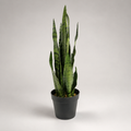 PLANTA ARTIFICIAL SANSEVIERIA