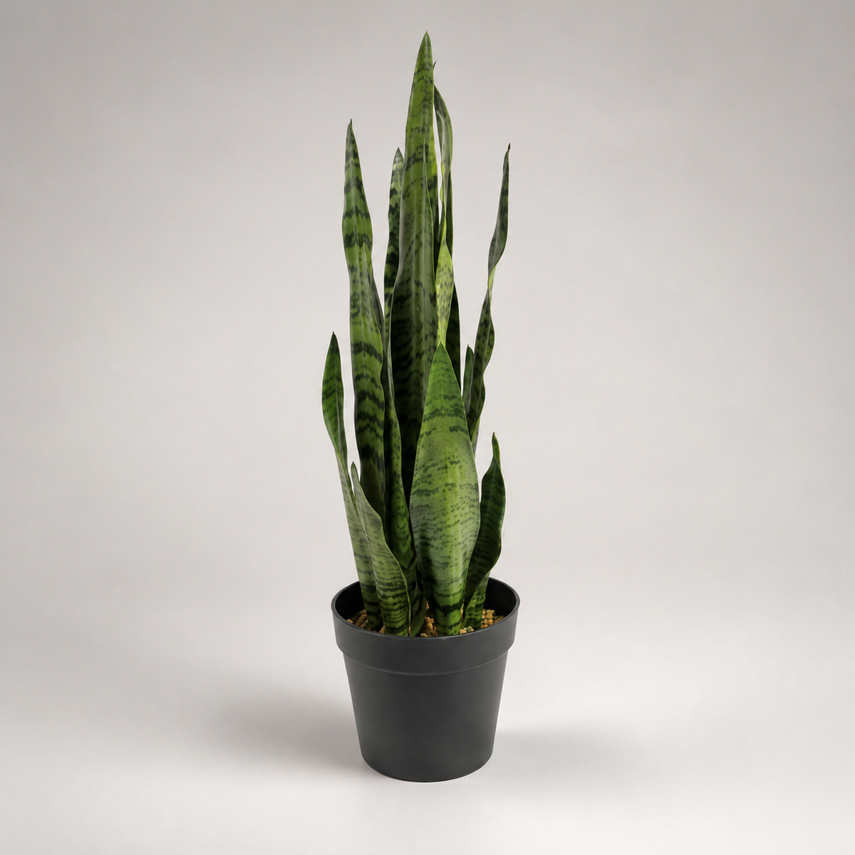 PLANTA ARTIFICIAL SANSEVIERIA