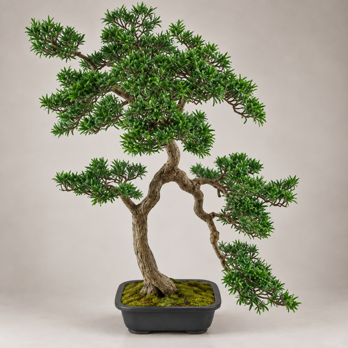 Planta Artificial Bonsai Pine Tree