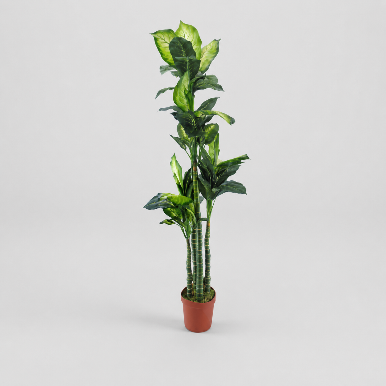 Planta Artificial "Hosta" 190cm