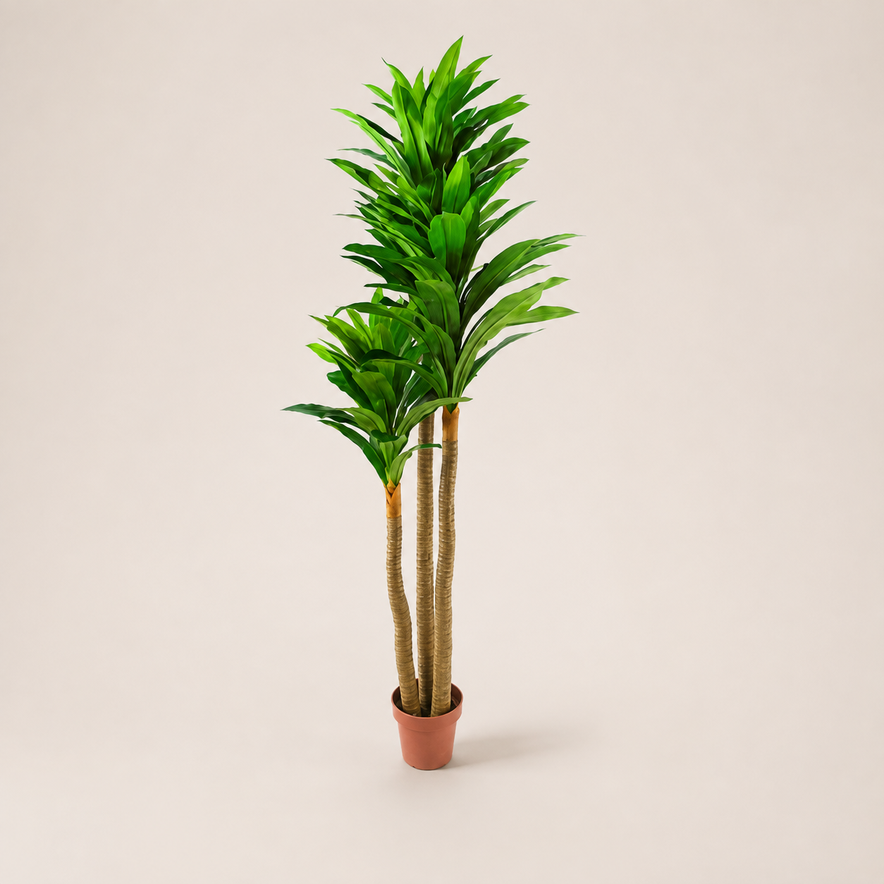 PLANTA ARTIFICIAL FRESH DRACAENA