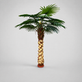 Planta Artificial "Livi Stona" C/Base Metal 250cm