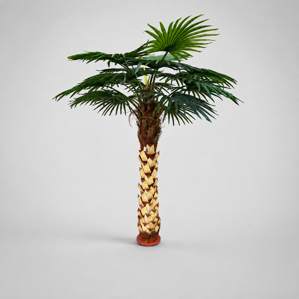 Planta Artificial "Livi Stona" C/Base Metal 250cm