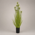 PLANTA ARTIFICIAL SUNNY GRASS
