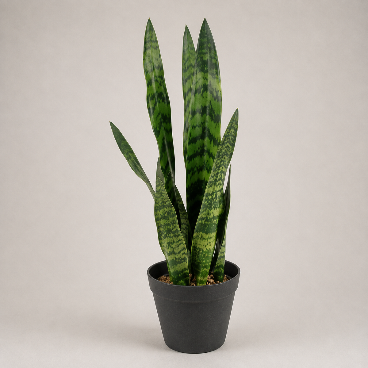 PLANTA ARTIFICIAL SNAKE PLANT