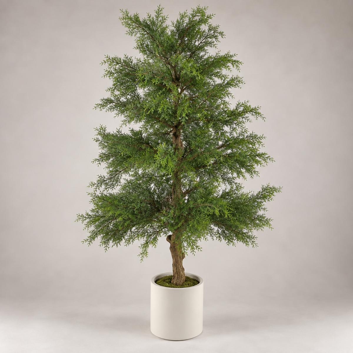 Planta Artificial Bonsai Australian