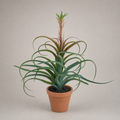 PLANTA ARTIFICIAL AIRPLANT