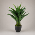 PLANTA ARTIFICIAL AGAVE ATTENUATA
