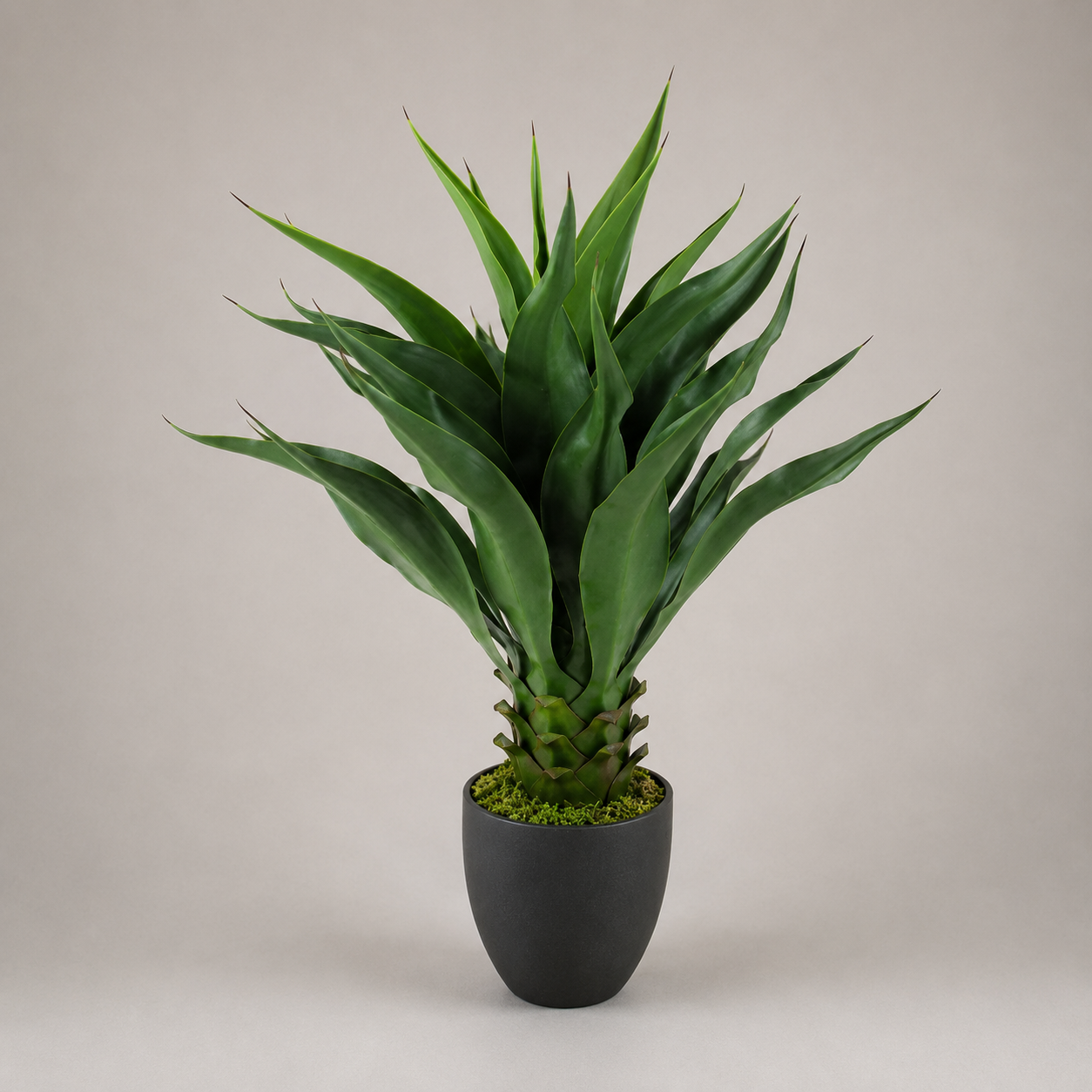PLANTA ARTIFICIAL AGAVE ATTENUATA