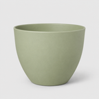 Vaso Tulipa