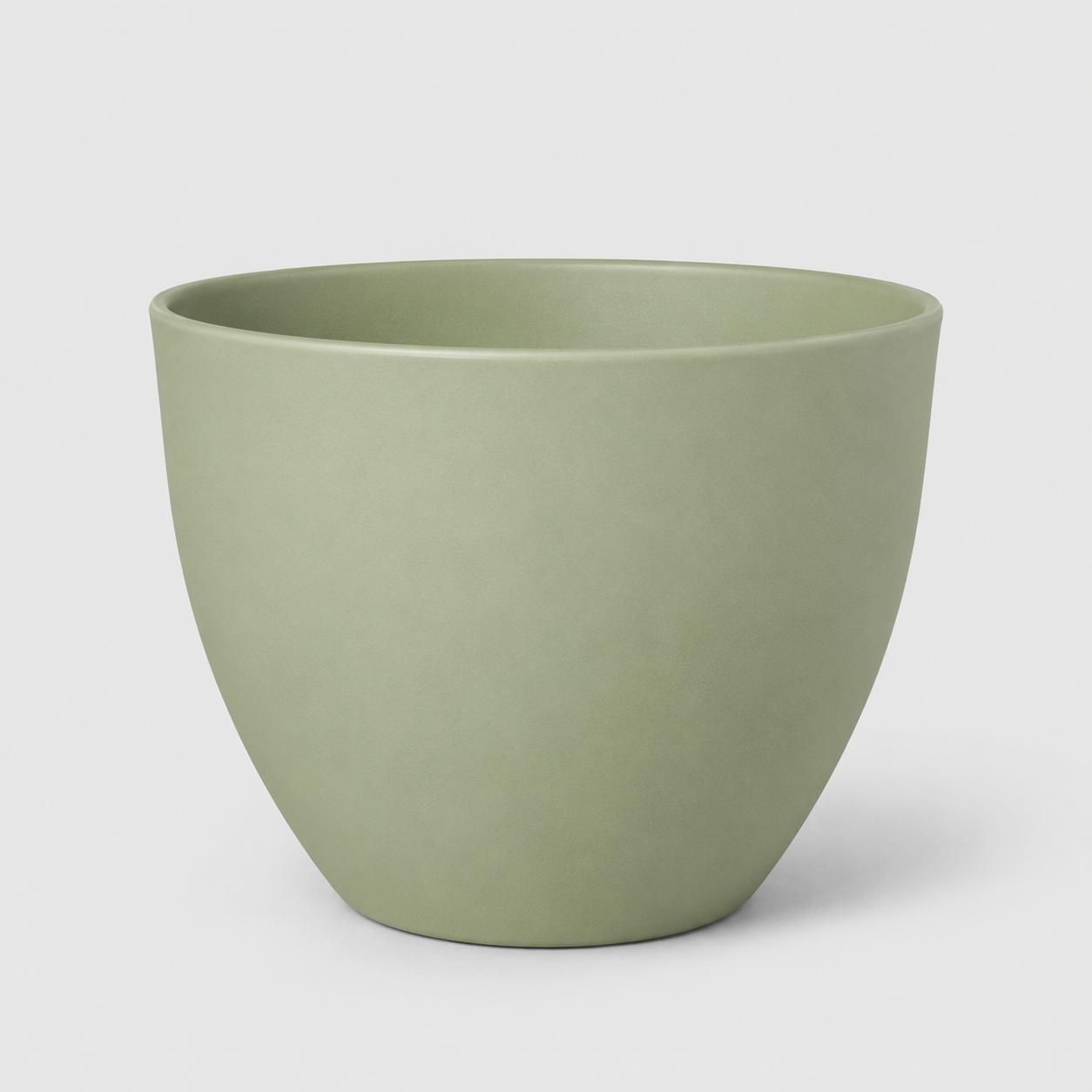 Vaso Tulipa